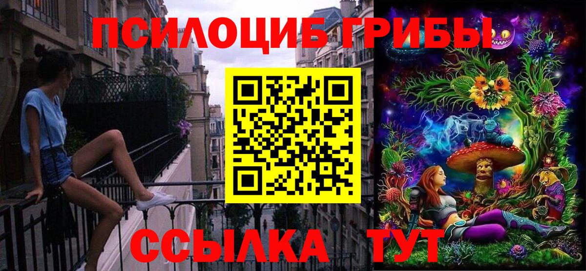 Галлюциногенные грибы Psilocybine cubensis Рославль
